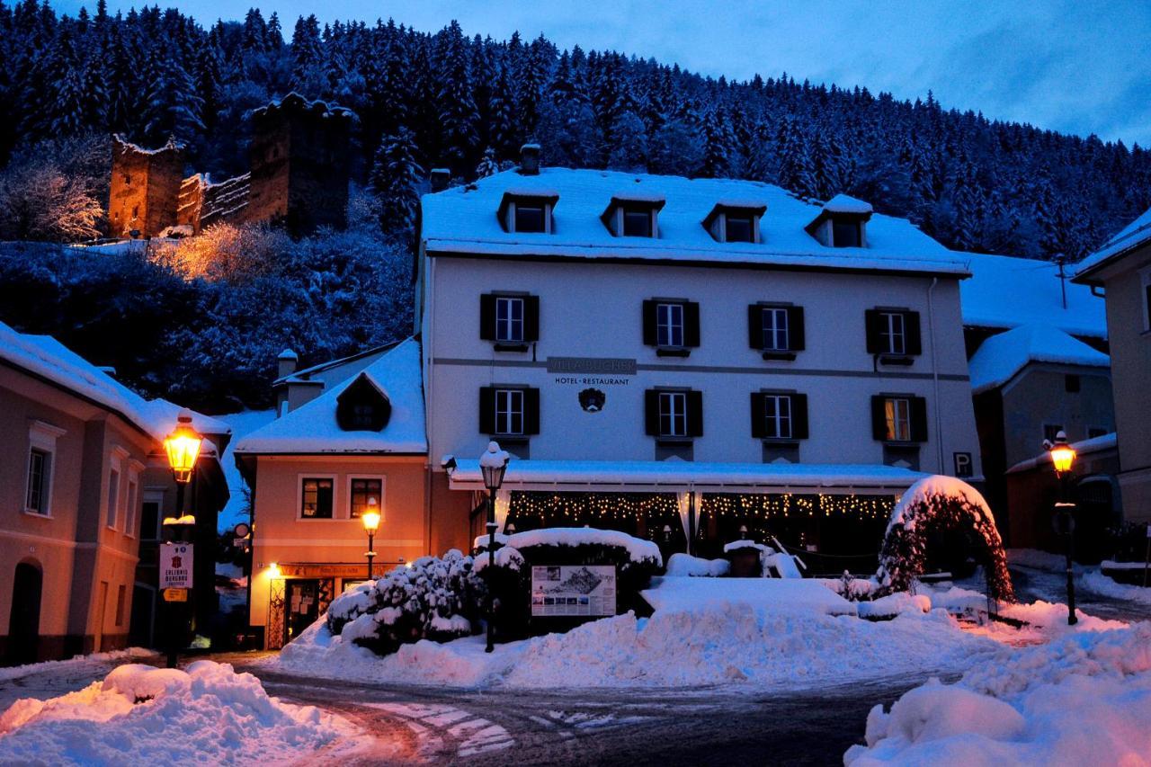 Villa Bucher - Metnitztalerhof Friesach  Exteriér fotografie